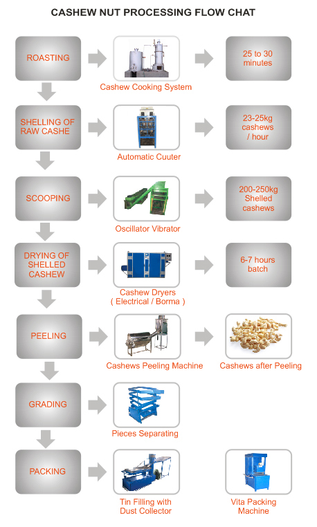Cashew Processing Chart