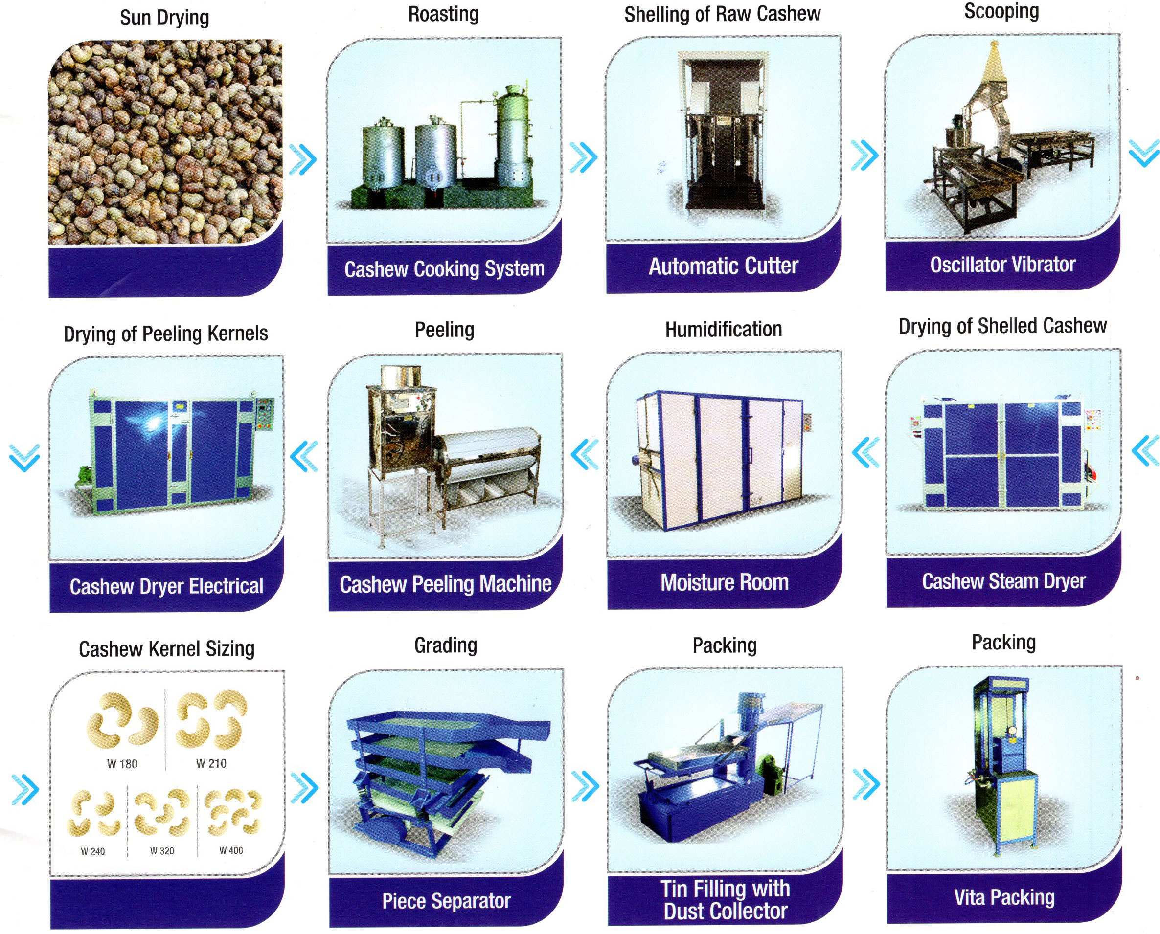 Cashew Processing Chart